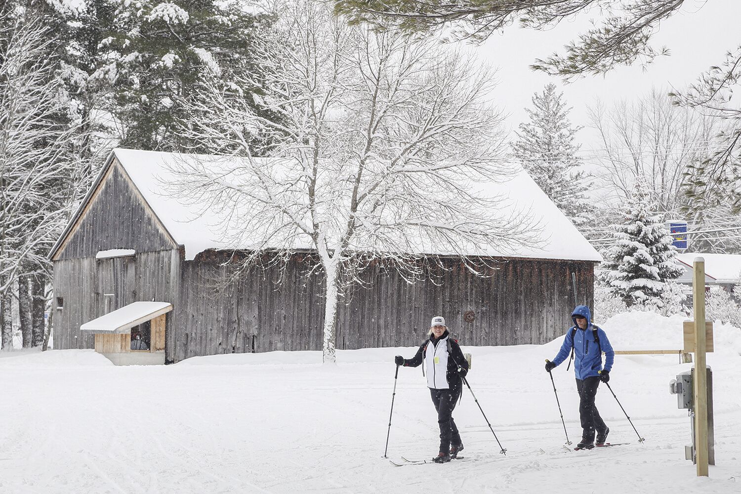 Finally, snow without rain